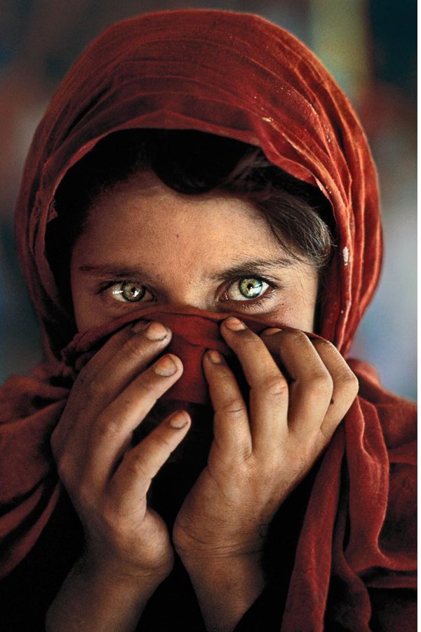 Sharbat Gula